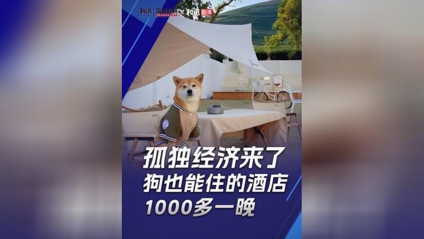 外媒曝S赛采用全局BP,2025年管家婆正版今晚开奖结果,决策资料解释落实_游戏版V2.61